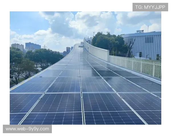 碳排放追踪系统引入大型赛事，助力实现零碳目标